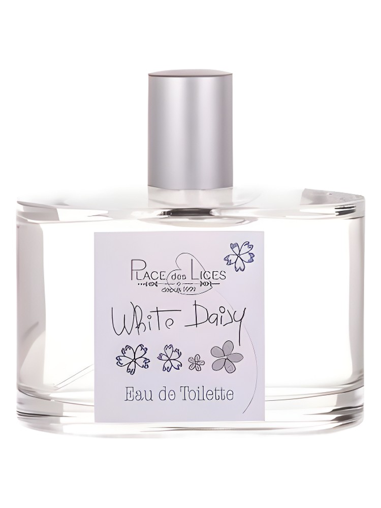 White Daisy – Place des Lices