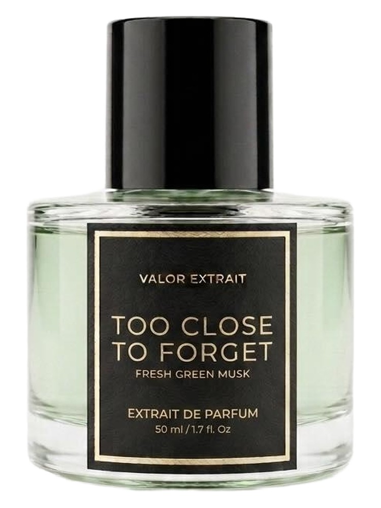 Too Close To Forget – Valor Extrait