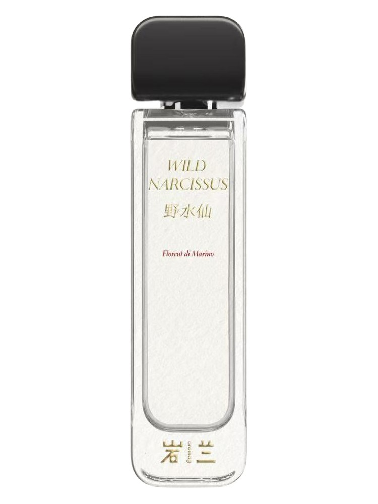 Wild Narcissus 野水仙 – Aromag 岩兰