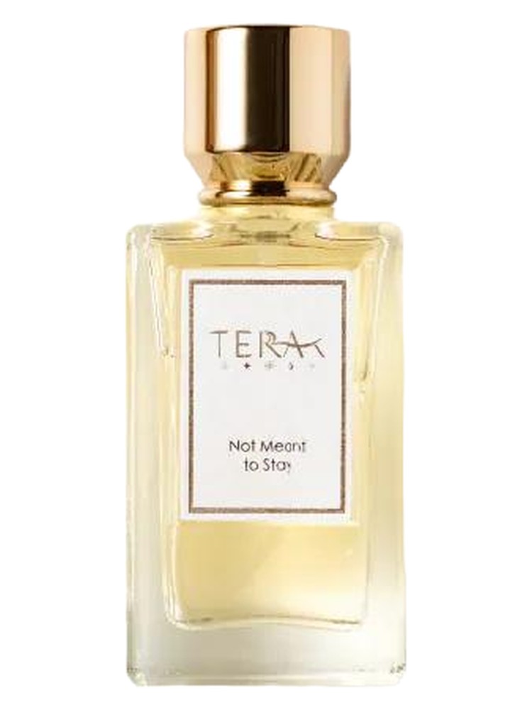 Not Meant to Stay 陌上花 – Terra·T