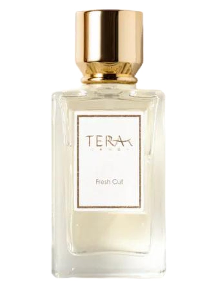 The Fresh Cut 切新青 – Terra·T