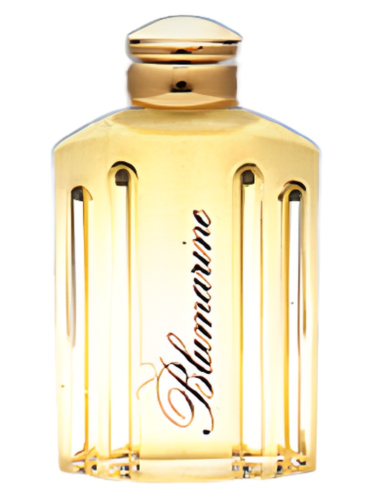Blumarine – Blumarine