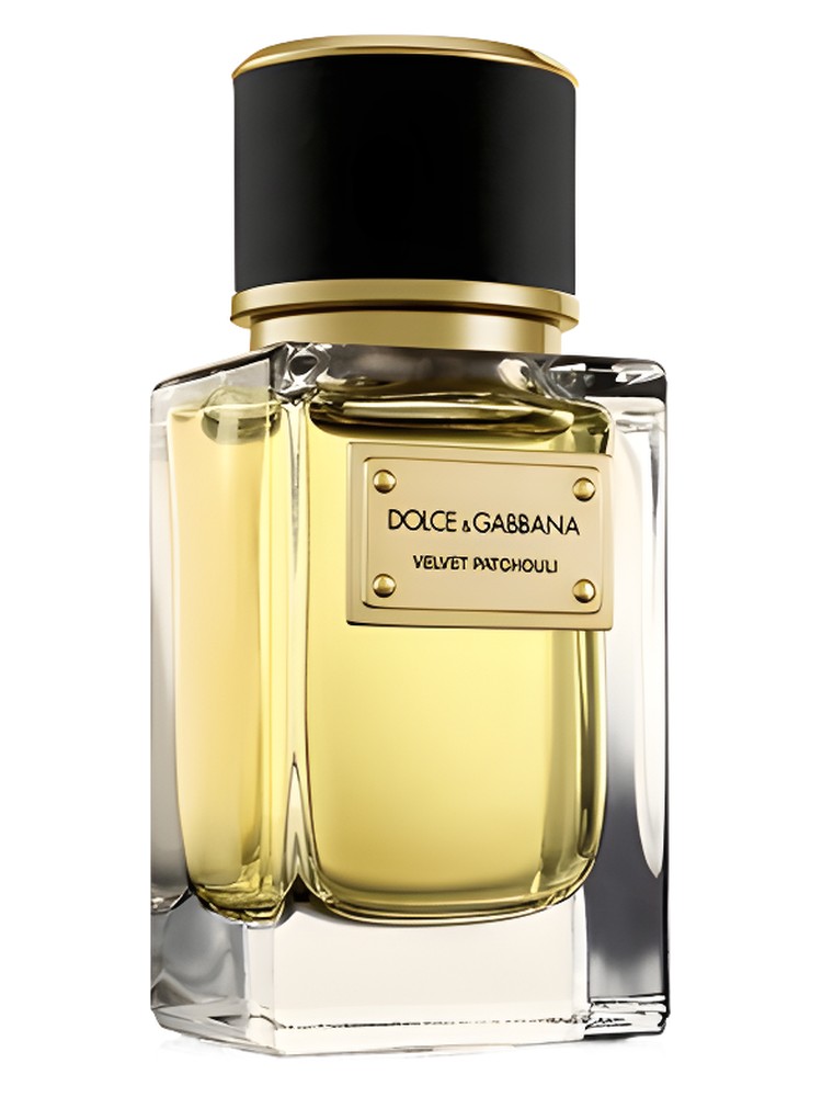 Velvet Patchouli – Dolce&Gabbana