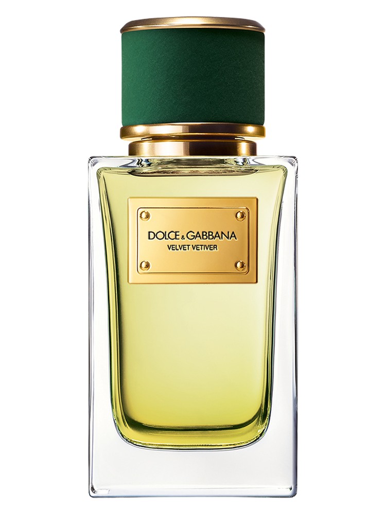 Velvet Vetiver – Dolce&Gabbana