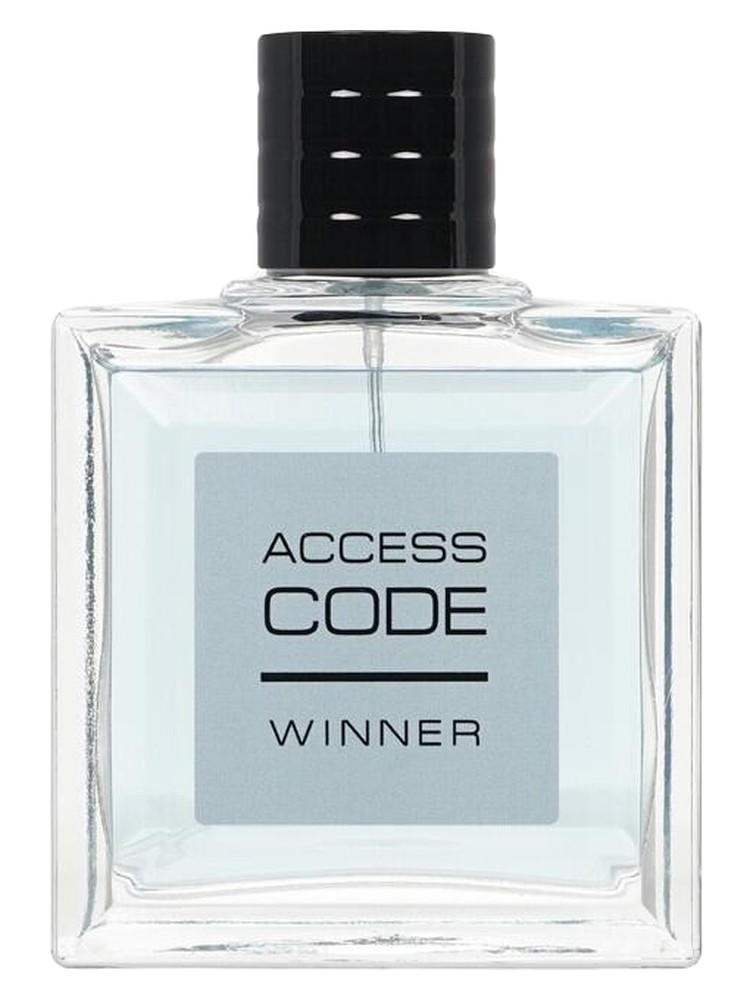 Access Code Winner – Vinci