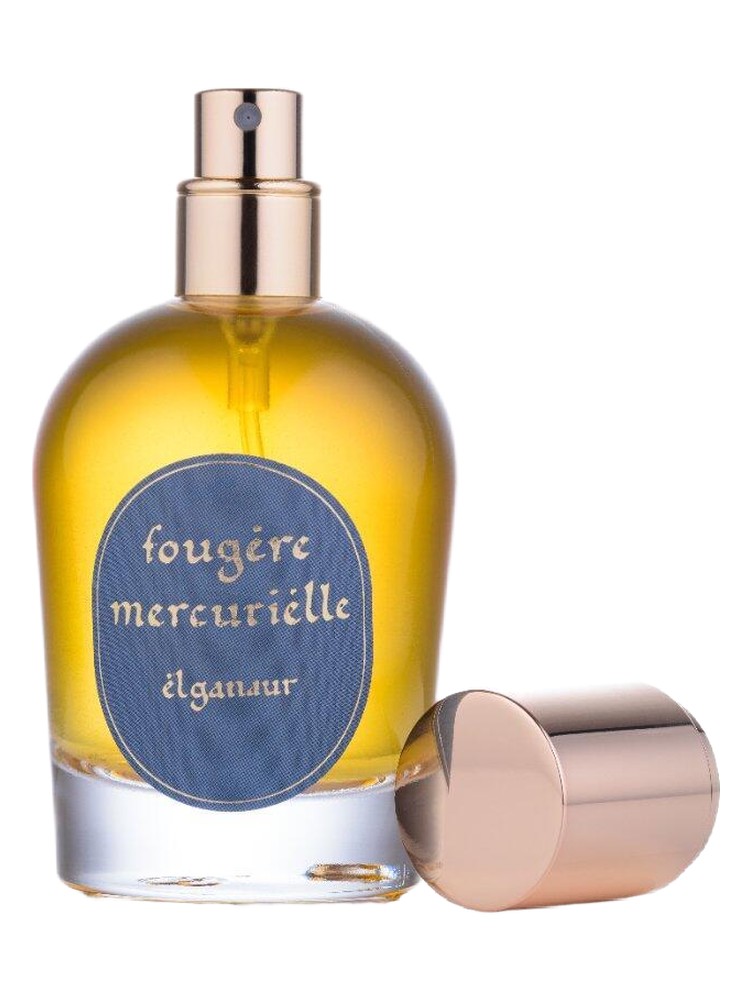 Fougère Mercurielle – Elganaur