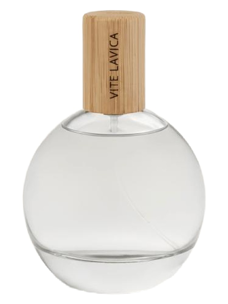 Vite Lavica – Rauvéa