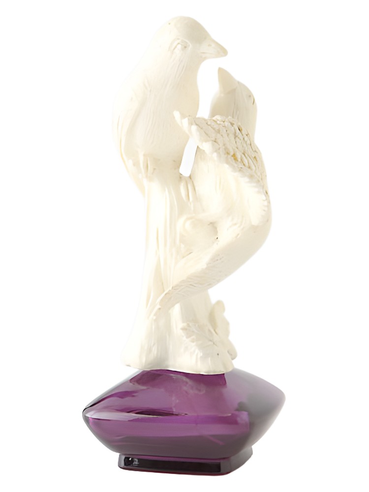 1922 Lily Sanguine – Happ & Stahns