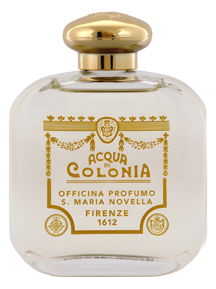 Ottone – Santa Maria Novella