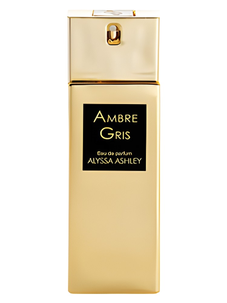Ambre Gris – Alyssa Ashley