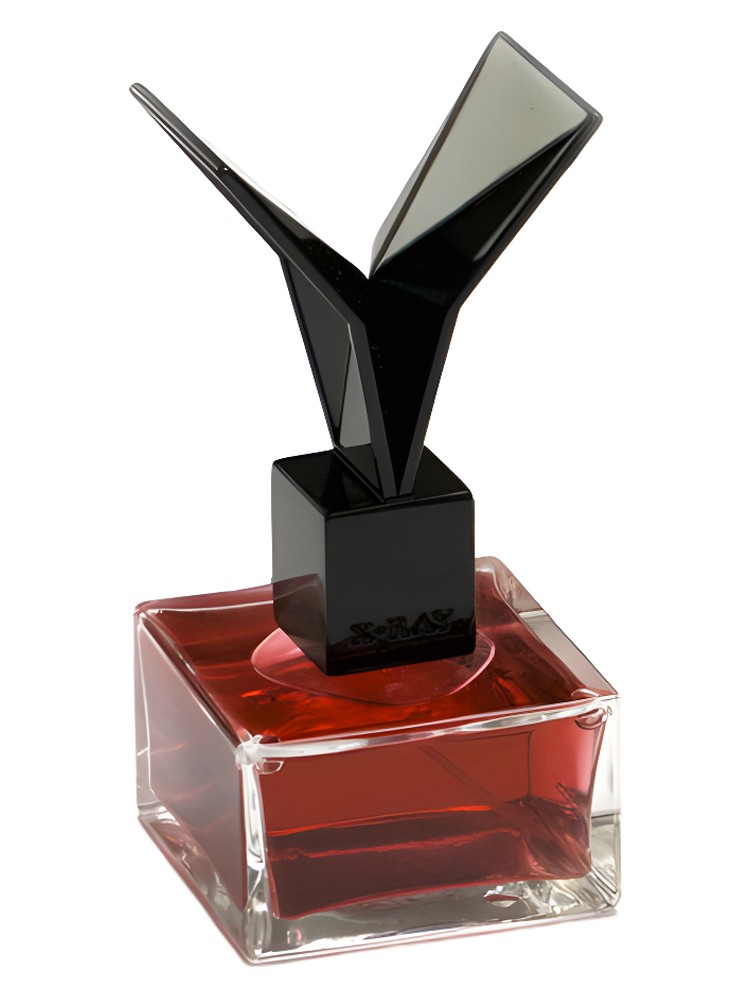 Lacquered Rose – X-Ray