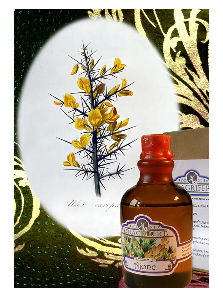 Ajonc – Fragrifert Parfumeur