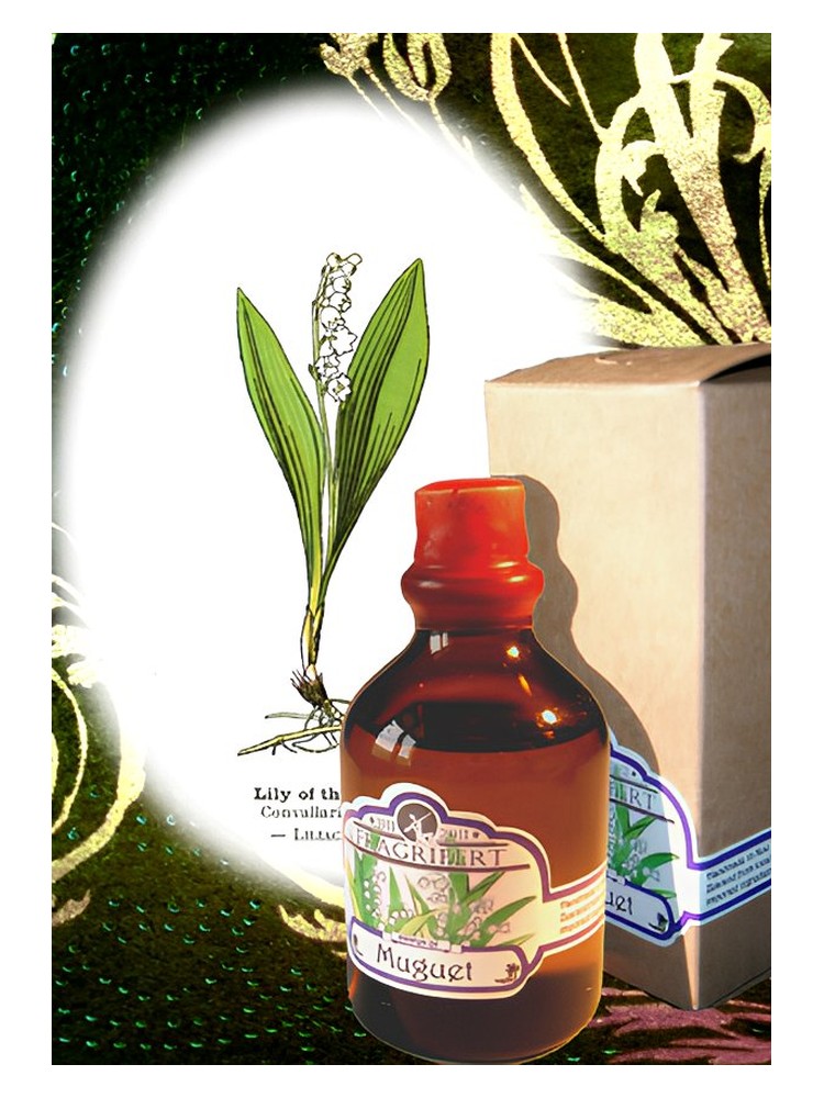 Muguet – Fragrifert Parfumeur