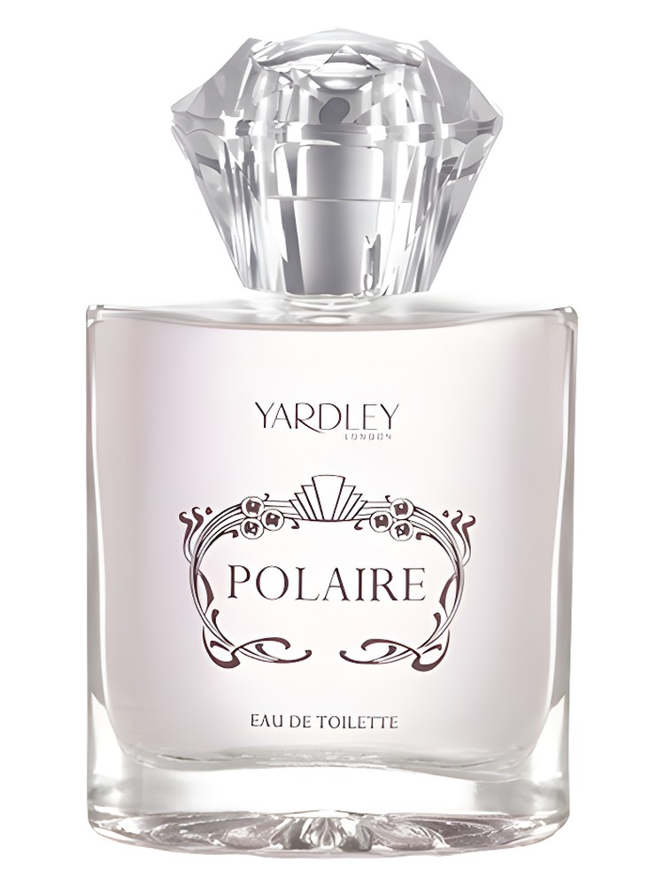 Polaire – Yardley