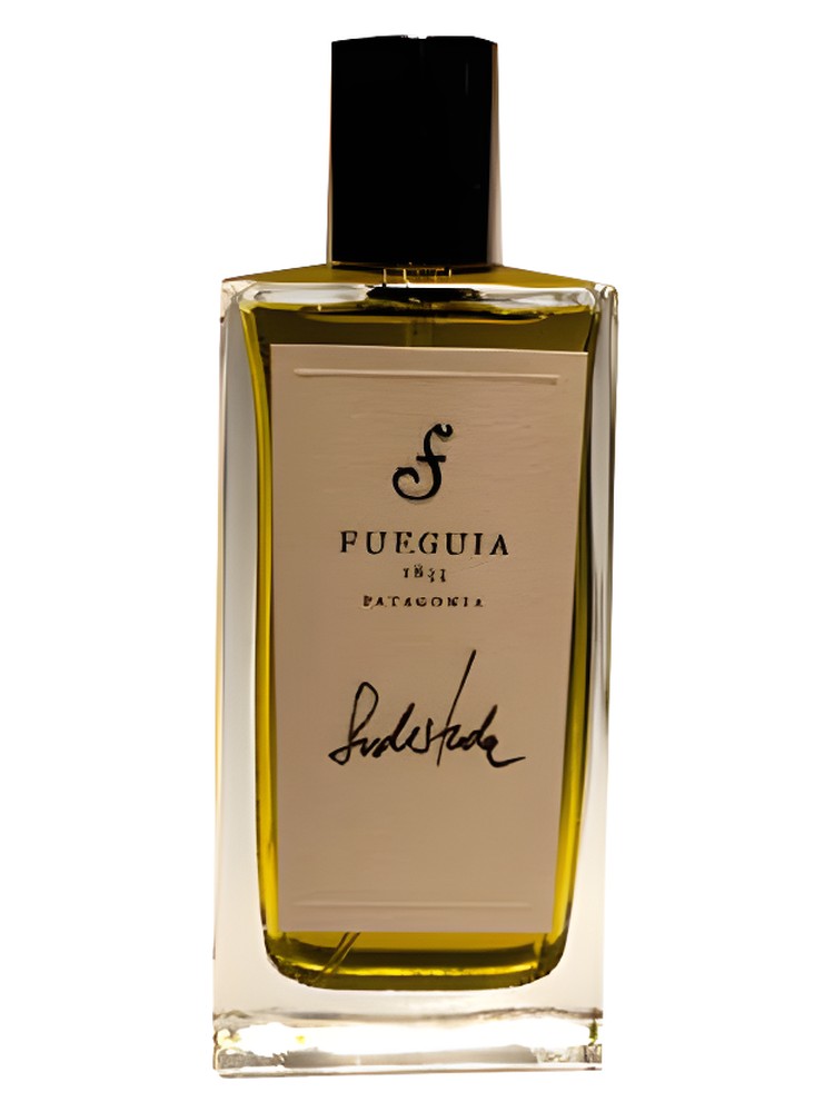 Sudestada – Fueguia 1833