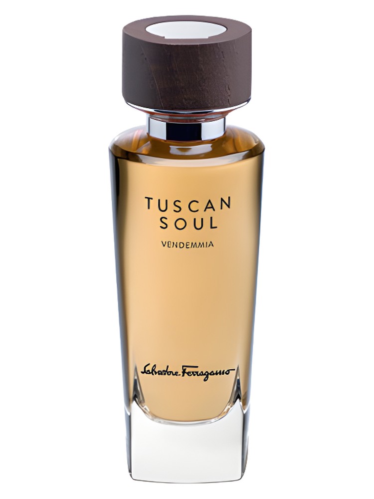 Vendemmia (2013) – Salvatore Ferragamo