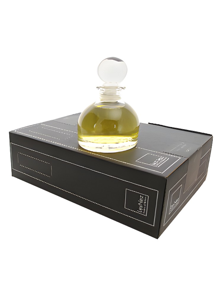 Turtle Vetiver Front – Les Nez
