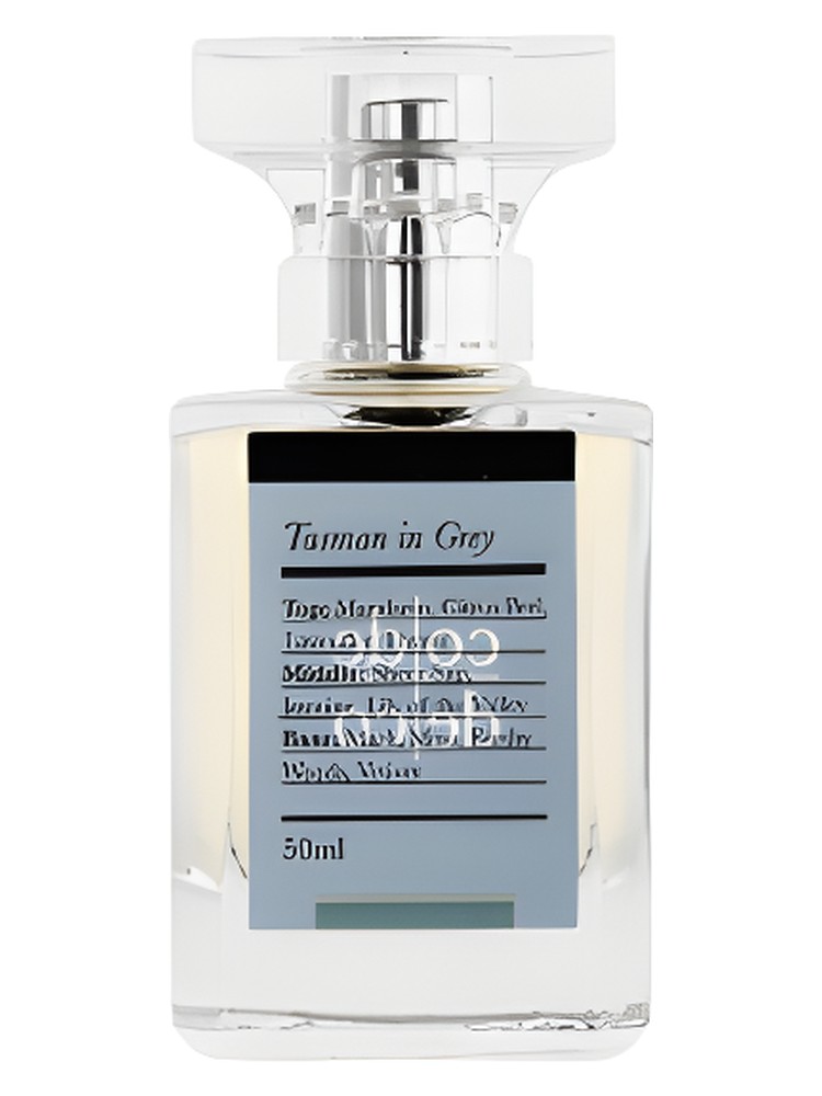 Tasman in Grey – Code Deco