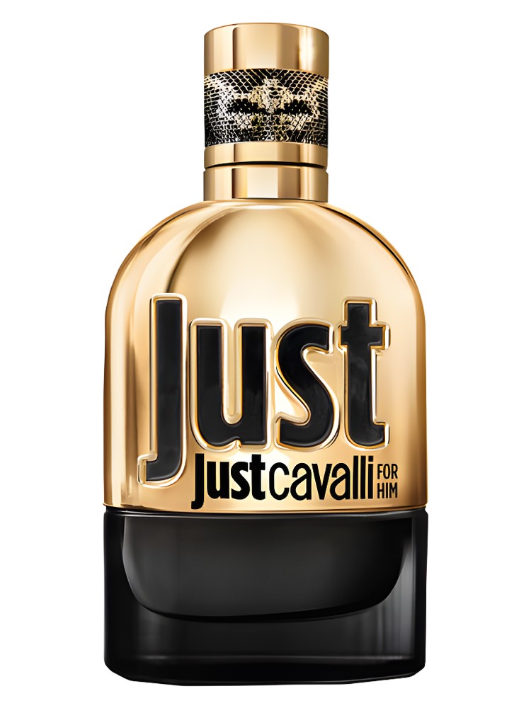 Just Cavalli Gold for Him – Roberto Cavalli