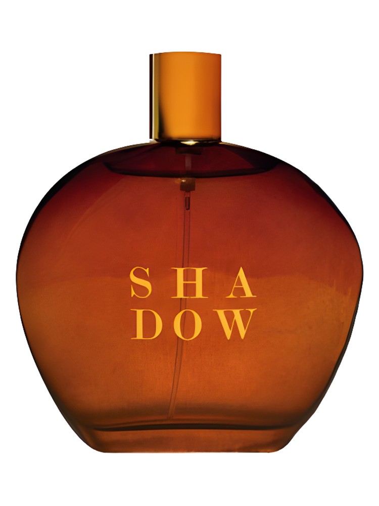 Shadow – Bejar