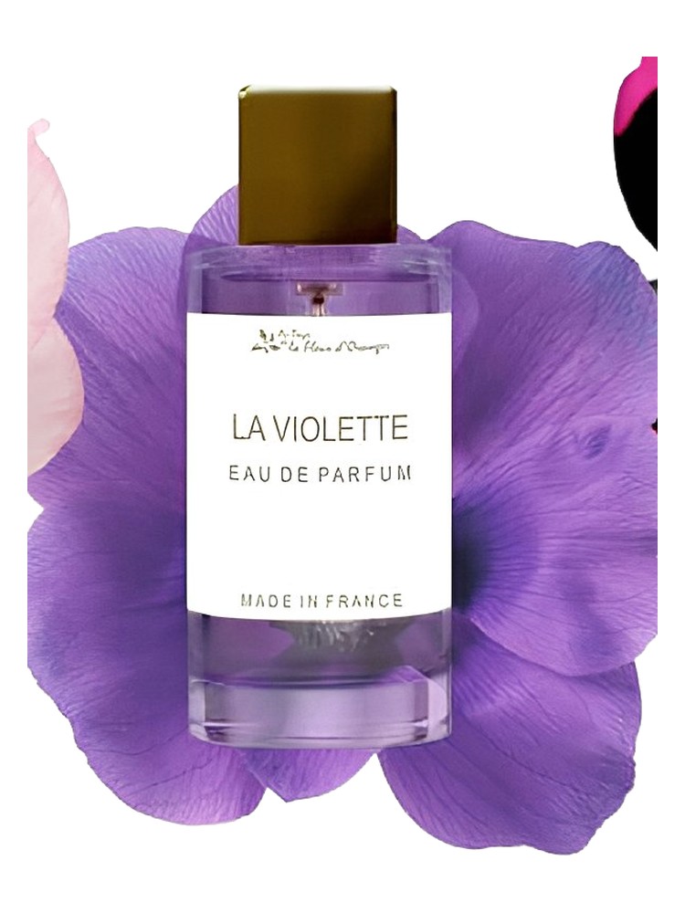 La Violette – Au Pays de la Fleur d’Oranger