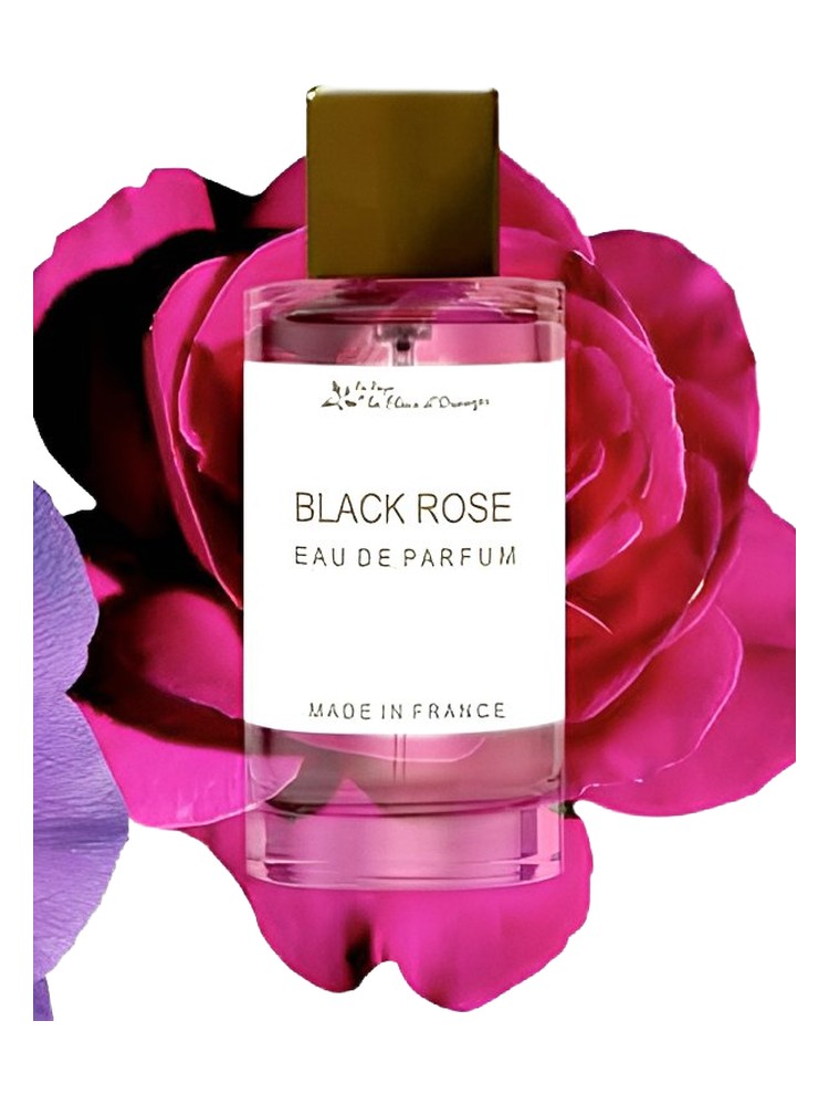 Black Rose – Au Pays de la Fleur d’Oranger