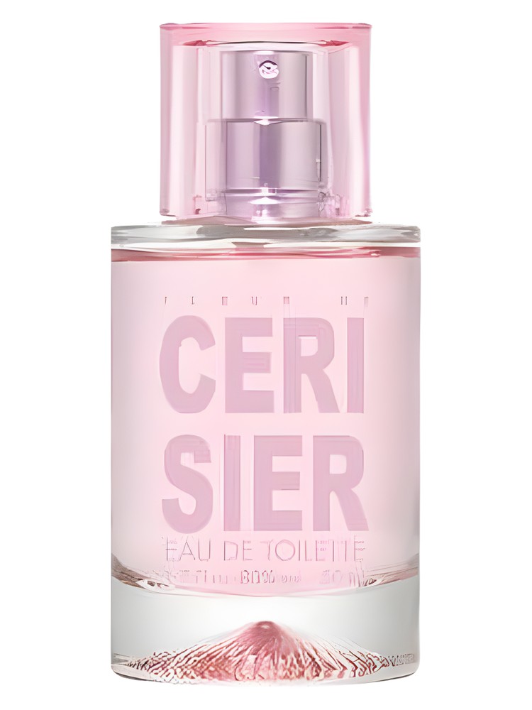 Fleur de Cerisier – Solinotes