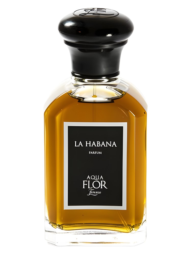 La Habana – Aquaflor Firenze
