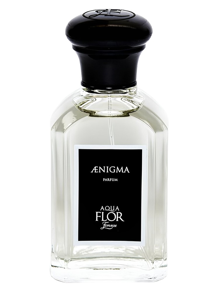 Aenigma – Aquaflor Firenze