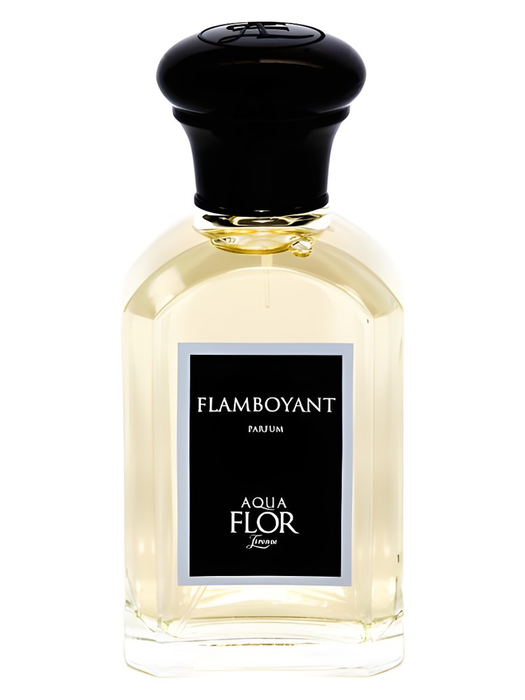 Flamboyant – Aquaflor Firenze
