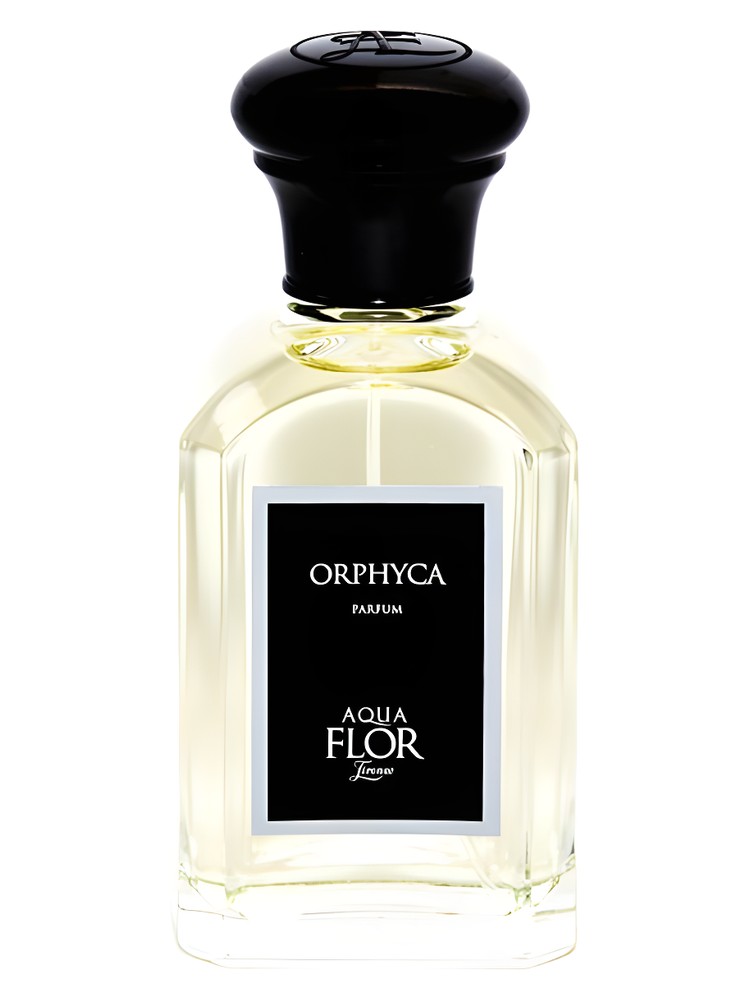 Orphyca – Aquaflor Firenze