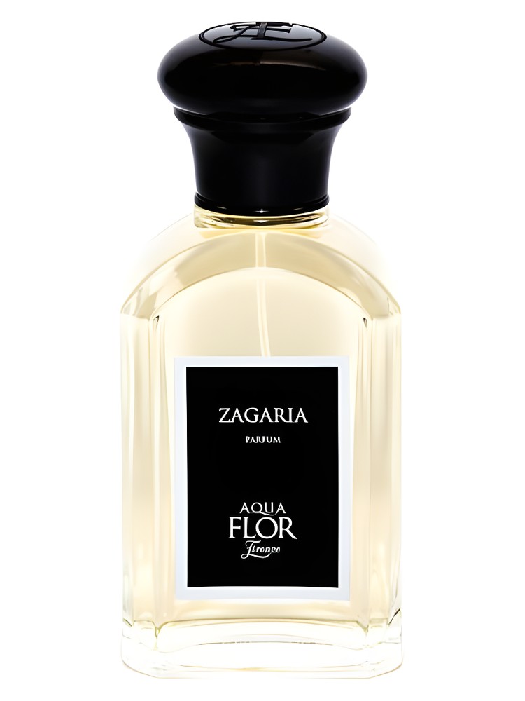 Zagaria – Aquaflor Firenze