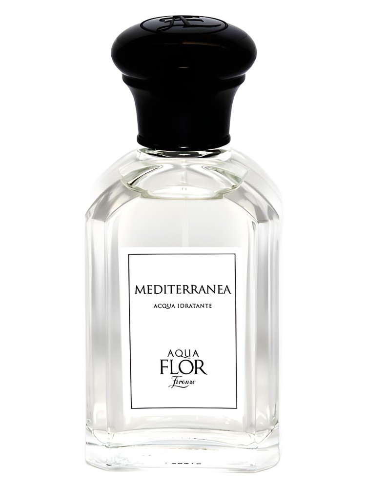 Mediterranea – Aquaflor Firenze