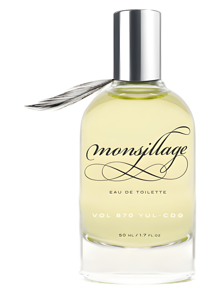Vol 870 YUL-CDG – Monsillage