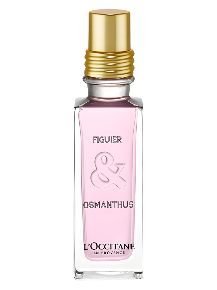 Figuier & Osmanthus – L'Occitane en Provence