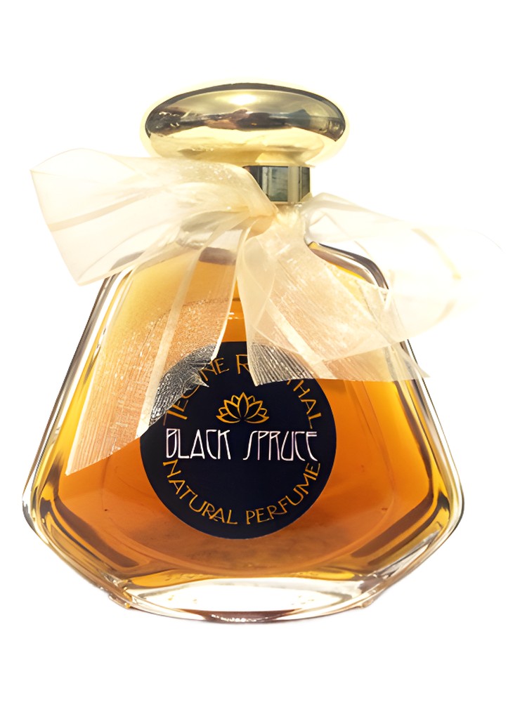 Black Spruce – TRNP
