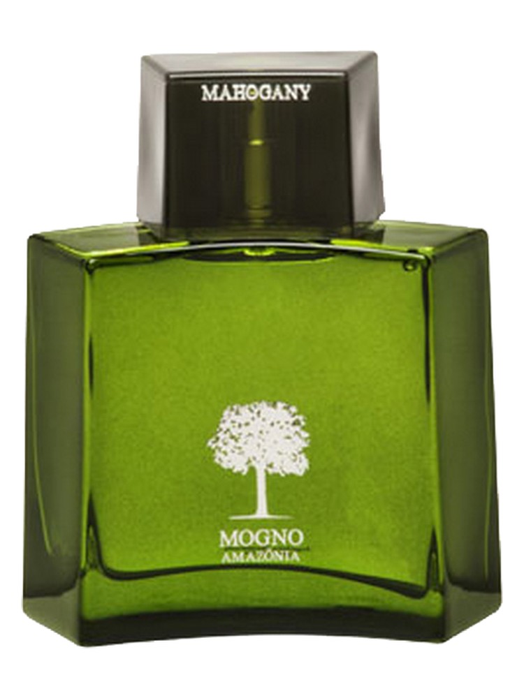 Mogno Amazônia – Mahogany