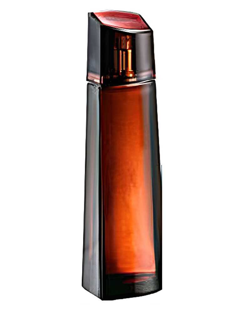 Midnight – Avon