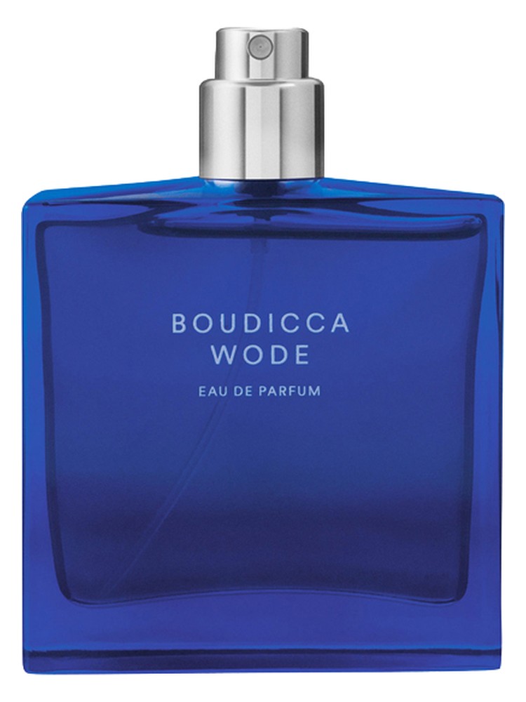 Boudicca Wode – The Beautiful Mind Series