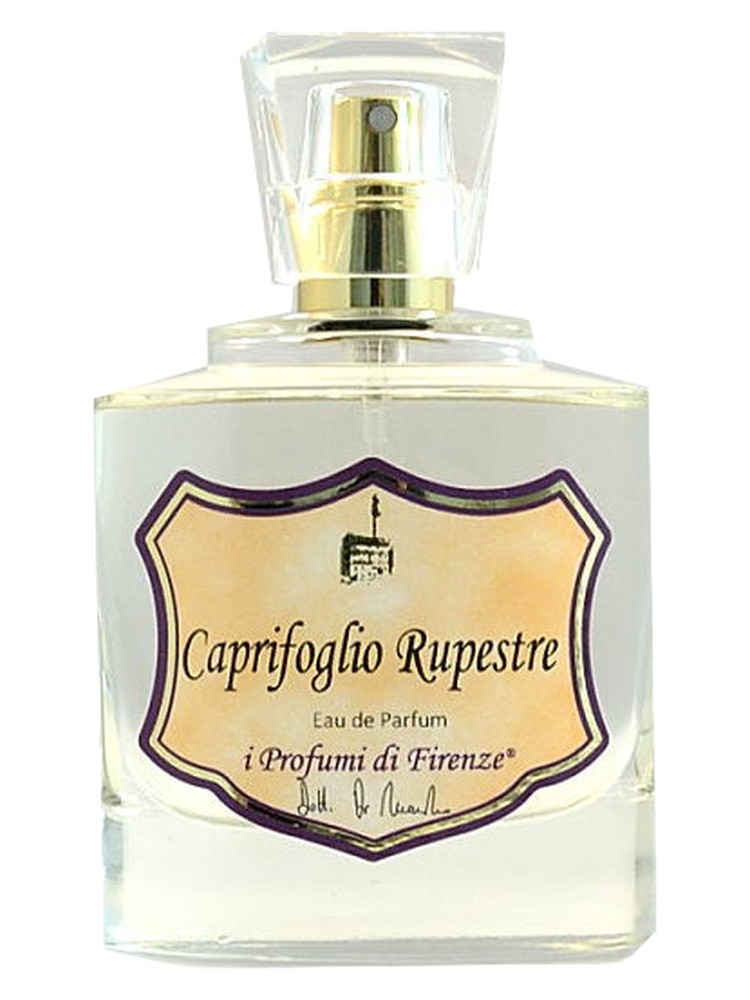 Caprifoglio Rupestre – I Profumi di Firenze