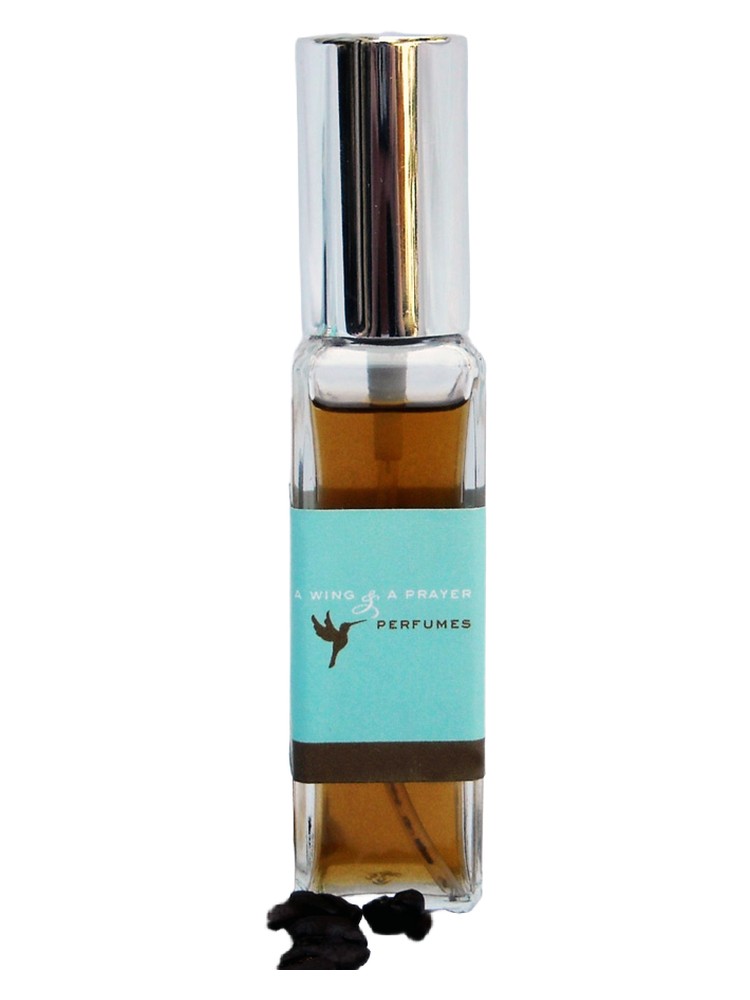 Ginger Spice – A Wing & A Prayer Perfumes