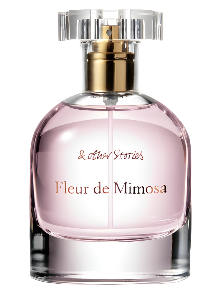 Fleur de Mimosa – And Other Stories