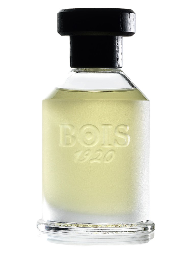 Rosa 23 – Bois 1920