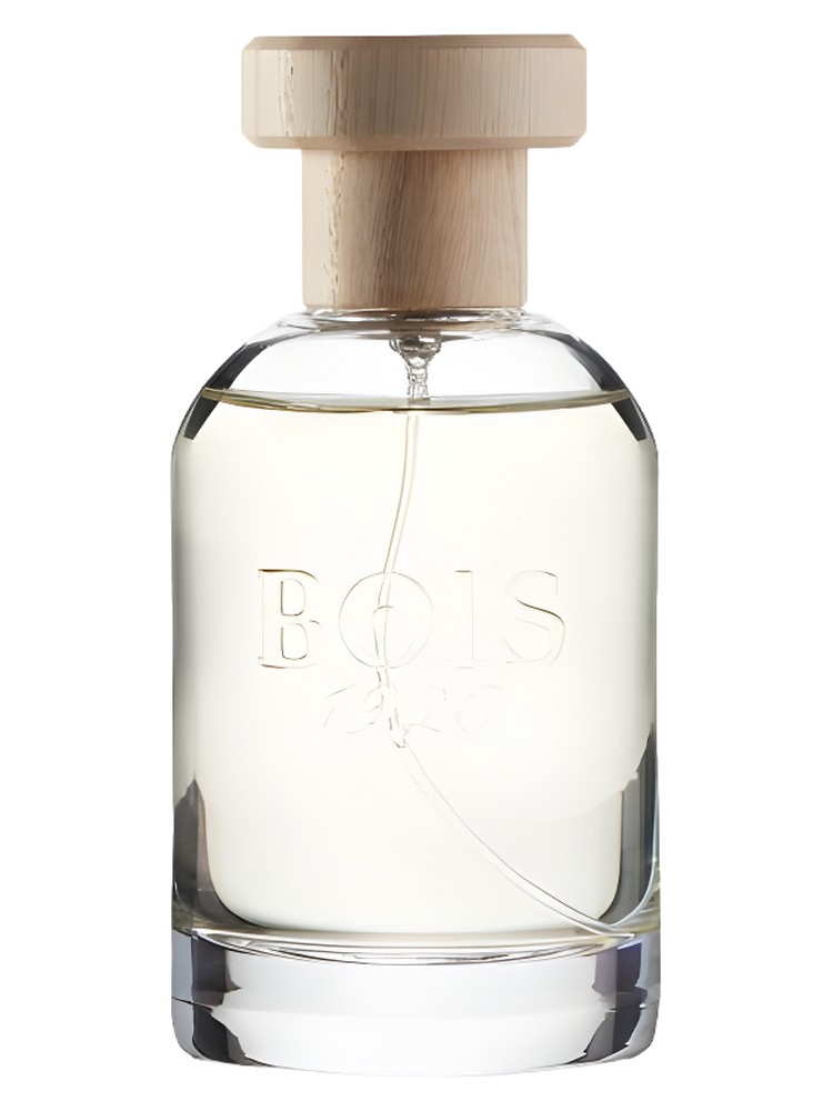 Ancora Amore – Bois 1920