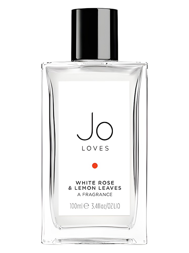 White Rose & Lemon Leaves – Jo Loves