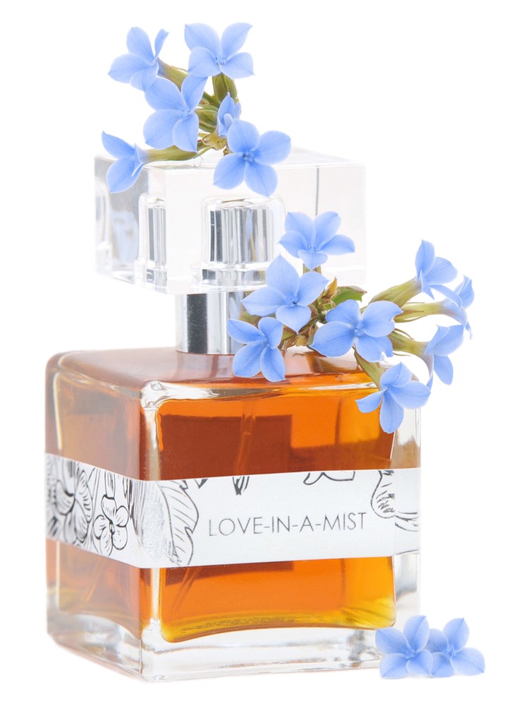 Love-In-A-Mist – Providence Perfume Co.