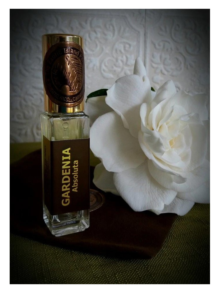 Gardenia Absoluta – The Exotic Island Perfumer