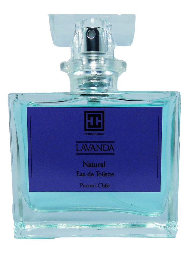 Lavanda – Terragonia