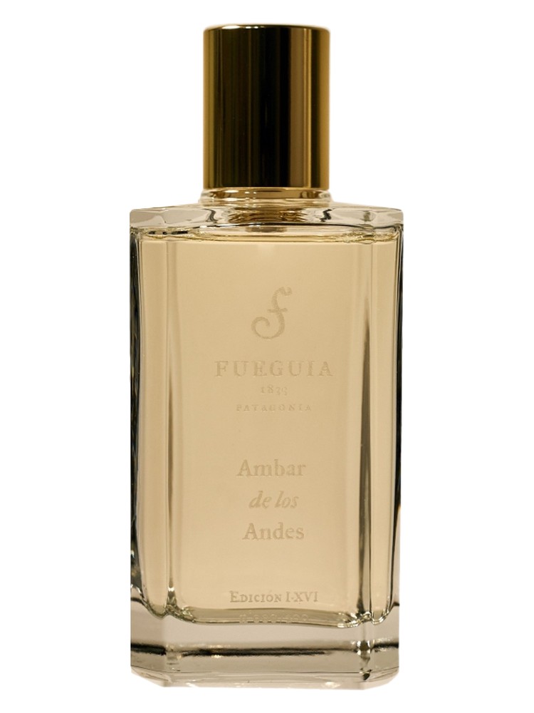 Ambar de los Andes – Fueguia 1833
