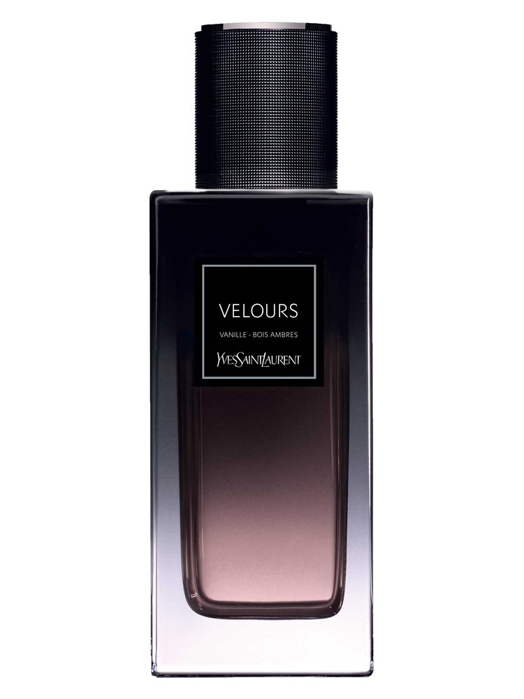Velours Vanille – Bois Ambres – Yves Saint Laurent